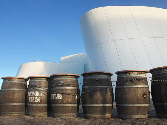 Ozeaneum (Naturkundemuseum) in Stralsund